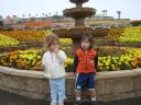 flowerfields1.jpg