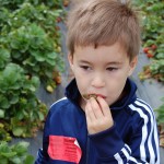justin-tanaka-farms2