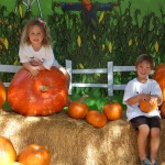 pumpkin patch2