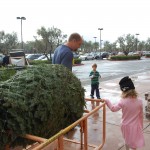 christmas tree1