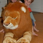 lion3