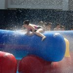 Nikki Seal 7-28-16-2