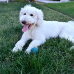 MAS_8943_edited-1
