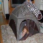 zebra tent